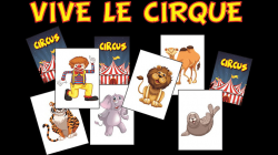 (image for) VIVE LE CIRQUE by S??bastien Delsaut