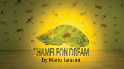 (image for) Chameleon Dream by Mario Tarasini video DOWNLOAD