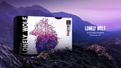 (image for) Lonely Wolf (Purple) Playing Cards by BOCOPO