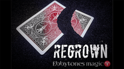 (image for) Regrown by Ebbytones video DOWNLOAD