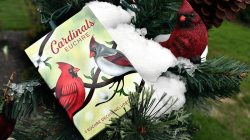(image for) Cardinals Euchre Playing Cards by Midnight Cards