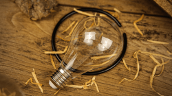 (image for) MILK IN LIGHTBULB by TCC