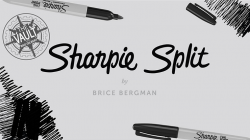 (image for) The Vault - Sharpie Split by Brice Bergman