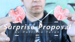 (image for) Surprise Proposal by Patricio Teran video DOWNLOAD