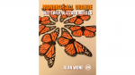 (image for) REFILL MONARCH/ORANGE for Butterfly Blizzard by Jeff McBride & Alan Wong - Trick