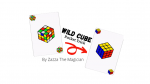 (image for) Wild Cube by Zazza The Magician video DOWNLOAD