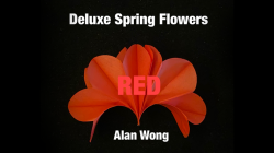 (image for) Deluxe Spring Flowers RED by Alan WOng - Trick