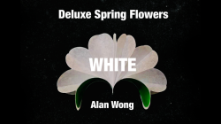(image for) Deluxe Spring Flowers WHITE by Alan Wong - Trick