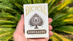 Bicycle Dinosaur Stripper Playing Cards (image for) Bicycle Dinosaur Stripper Playing Cards