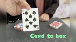 (image for) Card to Box by Dingding video DOWNLOAD