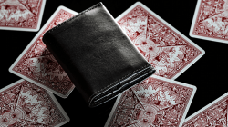 (image for) Quiver Compact Index (Gimmick only) by Kelvin Chow -Trick