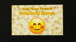 (image for) Sponge Emoji SMILE FACE (4PK.) by Andy Amyx- Trick