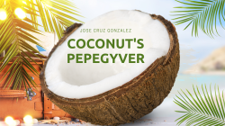 (image for) Coconut's Pepegyver by Jose Cruz Gonzlez video DOWNLOA