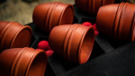 (image for) Final Wooden Cups Standard by TCC - Trick