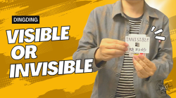 (image for) The Vault - Visible or Invisible by Dingding video DOWNLOAD
