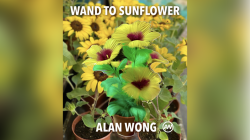 (image for) WAND TO SUNFLOWER LARGE by Alan Wong - Trick