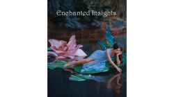 (image for) ENCHANTED INSIGHTS RED (English Instruction) by Magic Entertainment Solutions - Trick