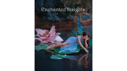 (image for) ENCHANTED INSIGHTS BLUE (French Instruction) by Magic Entertainment Solutions - Trick