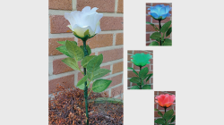 (image for) Remote Light Rose Multi-color (Charger Included) by JL Magic - Trick