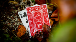 (image for) Bonfires Red (includes Card Magic Course) by Adam Wilber and Vulpine