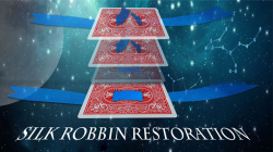 (image for) Silk Restoration by Dinging video DOWNLOAD