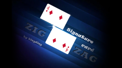 (image for) Signature Card Zig Zag by Dingding video DOWNLOAD