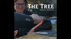 (image for) THE TREE by Marcos Waldemar & Invisible Compass video DOWNLOAD
