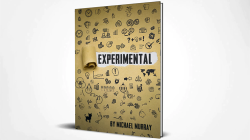 (image for) Experimental by Michael Murray - Book