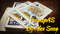 (image for) TranspAS by Alex Soza video DOWNLOAD