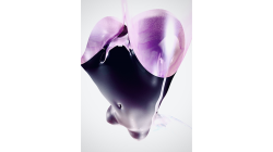 (image for) Gestalt PDF by Fraser Parker ebook DOWNLOAD