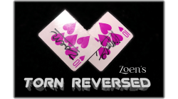 (image for) Torn Reversed by Zoen's video DOWNLOAD