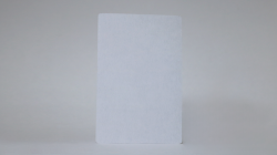 (image for) Bicycle Jumbo Double Blank