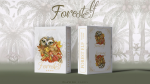 Forest elf Owl Playing Cards (image for) Forest elf Owl Playing Cards