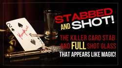 (image for) Stabbed & Shot 2 by Bill Abbott