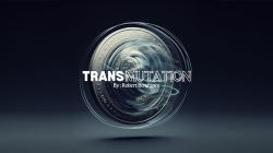 (image for) Transmutation by Robert Bertrance video DOWNLOAD