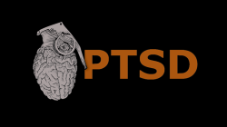 (image for) PTSD by Mark Lemon