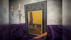(image for) The Real-Life Tarot Deck by David Regal
