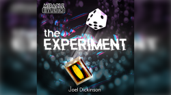 (image for) THE EXPERIMENT by Joel Dickinson
