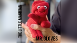 (image for) MR. GLOVES by Juan Pablo