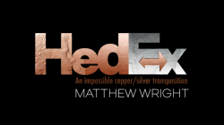 (image for) Hedex by Matthew Wright