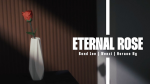 (image for) Eternal Rose by Bond Lee