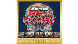 (image for) Brain Bogglers by Meir Yedid