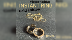 (image for) Instant Ring (silver/gold, Size 10) by Viktor Voitko