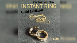 (image for) Instant Ring (silver/gold, Size 11) by Viktor Voitko