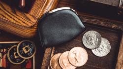 (image for) Professional Coin Purse by Amor Magic