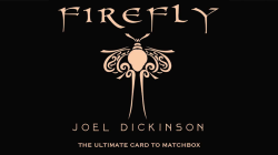 (image for) Firefly by Joel Dickinson