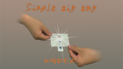 (image for) Simple Zigzag by Dingding video DOWNLOAD