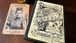 (image for) The Curious Case Of Amanda Cole by Dead Rebel Productions