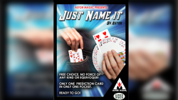 (image for) JUST NAME IT by ASTOR