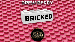 (image for) Bricked by Drew Perry